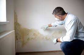 Dayton, MN Mold Removal & Remediation Company